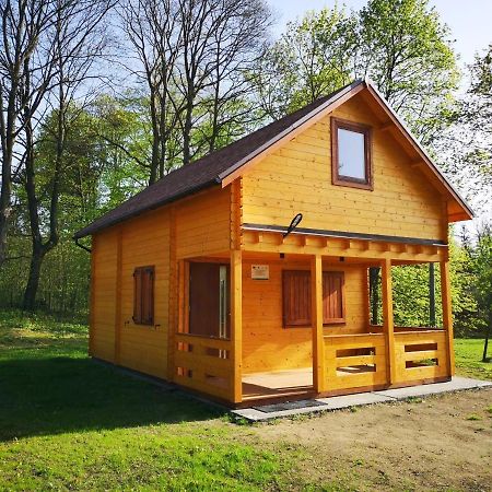 Вилла Janowickie Zacisze Яновице-Вельке Экстерьер фото