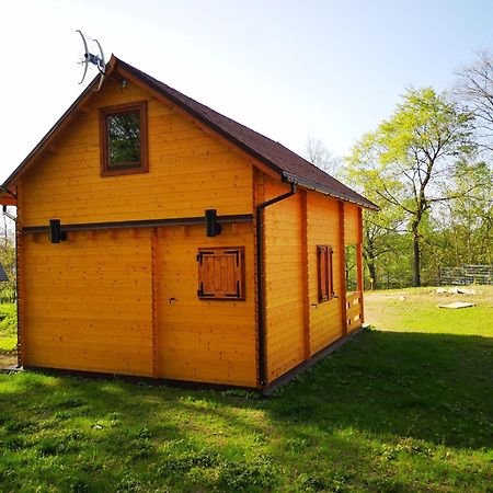 Вилла Janowickie Zacisze Яновице-Вельке Экстерьер фото